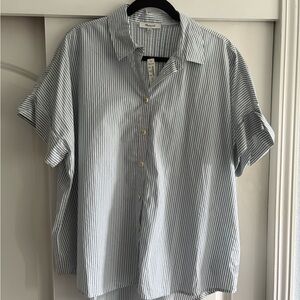 Madewell Women’s White and Blue Striped Button Down Shirt